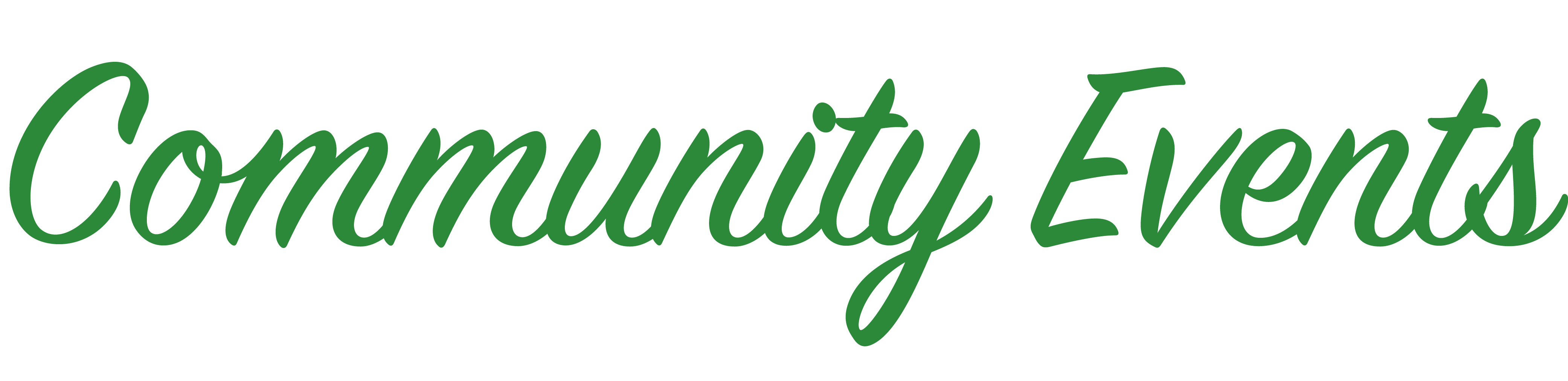community event
